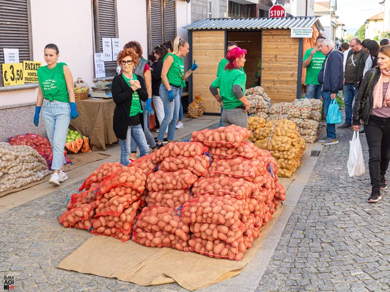 Sacchi di patate impilati in piazza accanto alle casette