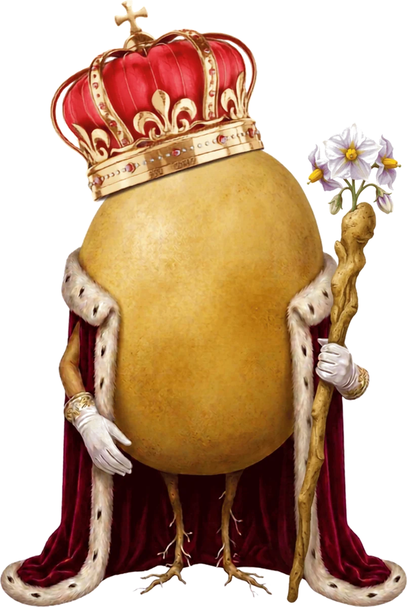 La patata regina, simbolo della Sagra della Patata di Lazzate